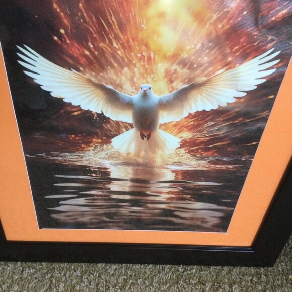 1pc 16x20Frame 12x18 inch Christian Dove Holy Spirit Creation Religious Bird Art - Picture 2 of 5